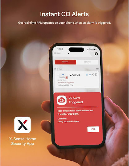 X-sense Xc0c-ir Detector Inteligent de Monoxid de Carbon 2.4ghz Wi-fi Senzor Electrochimic Ecran Lcd Alerte în Timp Real pe Telefon Baterie Înlocuibilă Montaj pe Perete Portabil