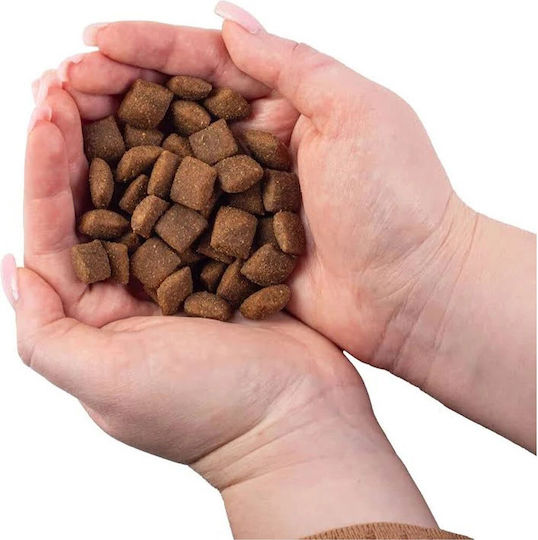 Nature's Protection Lifestyle White Fish 1.5kg Dry Food Grain-Free for Adult Dogs with Fish