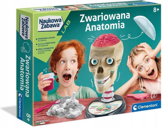 Clementoni Educational Game Experiments