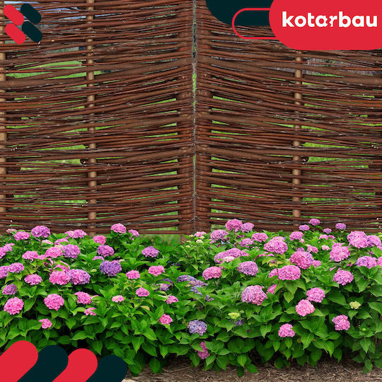 Kotarbau Gartenhecke in Beige Farbe 60x40cm 5 Stück