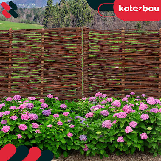 Kotarbau Gardă Viu De Grădină În Culoare Bej 60x30cm 10 Bucăți
