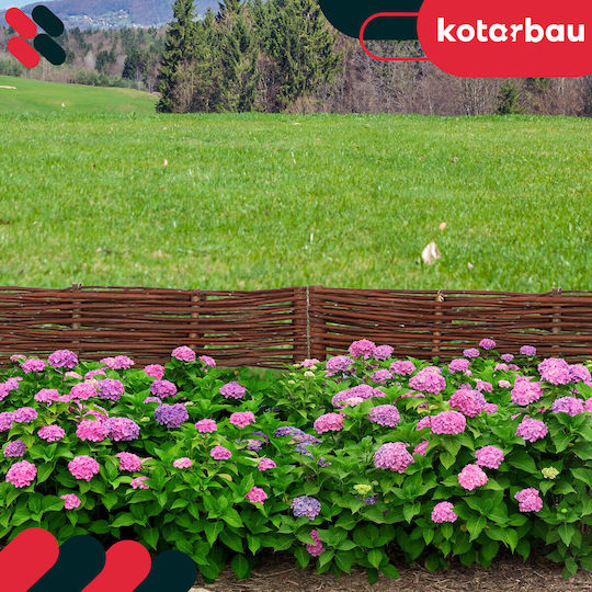Kotarbau Gartenhecke in Beige Farbe 60x10cm 10 Stück