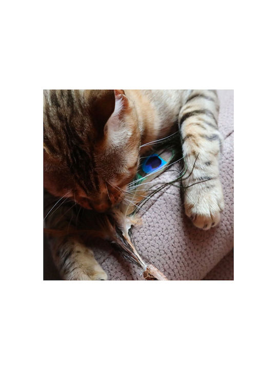 Croci Euphoria Jucărie pentru pisici Băț cu Catnip