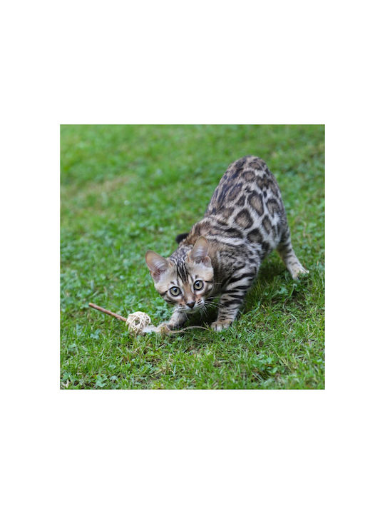 Croci Euphoria Katzenspielzeug Stab mit Katzenminze