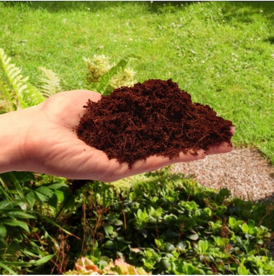Coconut Fiber Plants Flowers 10 Mm 5l