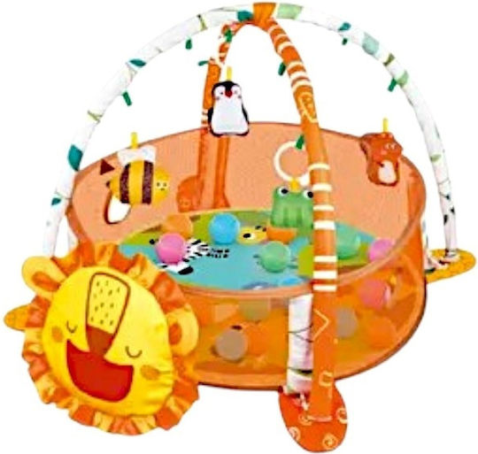 Activity Play Mat for 6+ Months