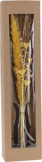 Pampasgras in Topfpflanze 57cm in Yala Harvest