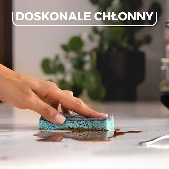 Vileda Clean Set Küchenschwämme 2 Stück