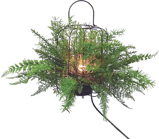Farn in Topfpflanze 38cm Marhome