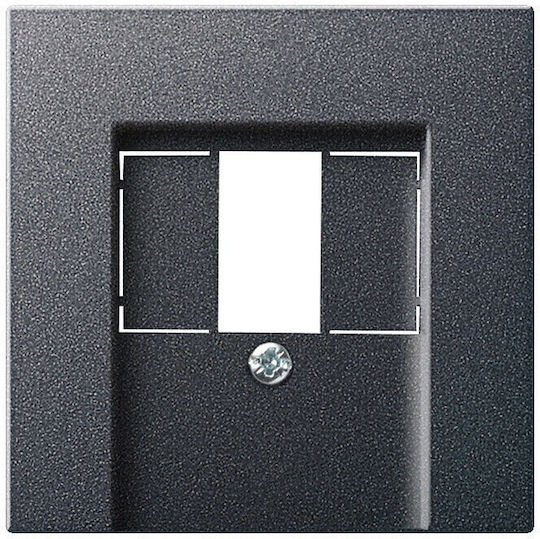 Πλαίσιο Διακόπτη Gira 027628 Cover Tae+stereo+usb System 55 Anthracite