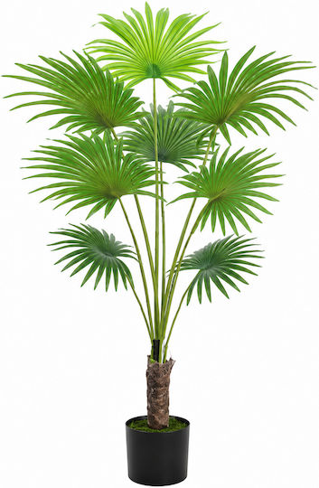 Plantă Decorativă Artificială Fan Palm Ghiveci 180cm Decorațiune Modernă Plantă Decorativă Artificială Fan Palm Ghiveci 180cm Decorațiune Modernă