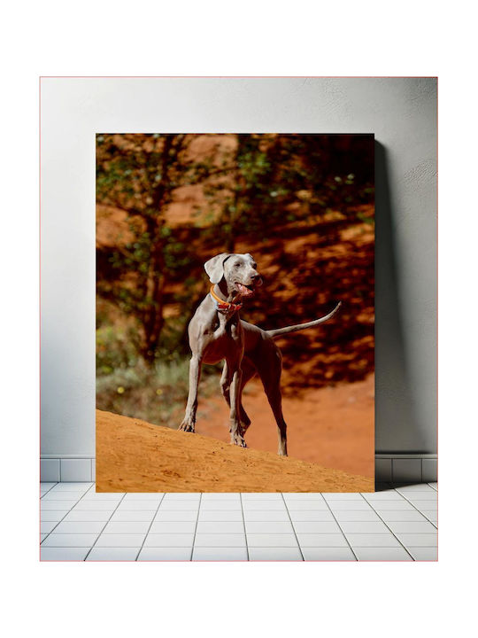 Панел Dog In Desert Landscape Куче В Пустинен Пейзаж 100x150