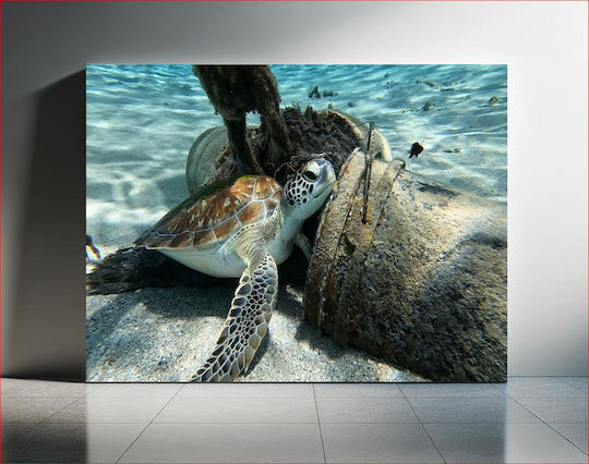 Sea Turtle Resting Underwater Θαλάσσια Χελώνα Που Ξεκουράζεται Υποβρύχια 1 σε Καμβά