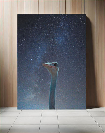 Ostrich Gazing Into The Stars Στρουθοκάμηλος Που Κοιτάζει Στα Αστέρια 1 σε Segeltuch