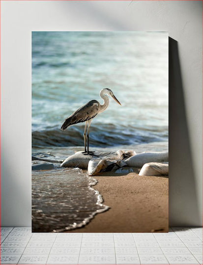 Heron By The Sea Ερωδιός Δίπλα Στη Θάλασσα
