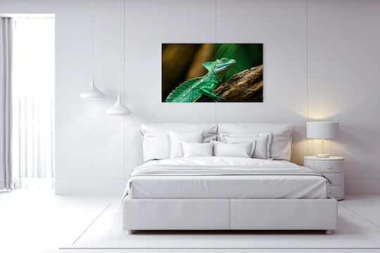 Colorful Lizard In Its Natural Habitat Πολύχρωμη Σαύρα Στο Φυσικό Της Περιβάλλον