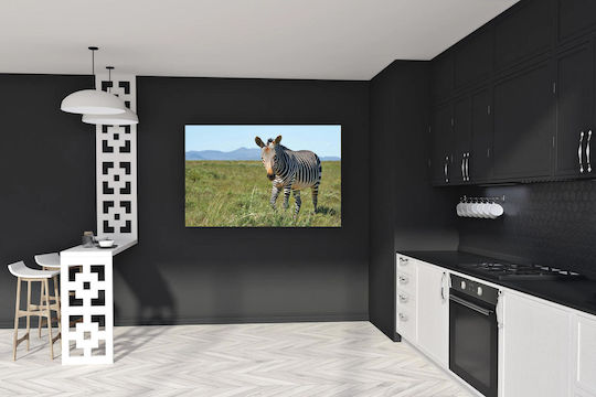 Panou Zebra În Câmp Zebre În Câmp 100x70