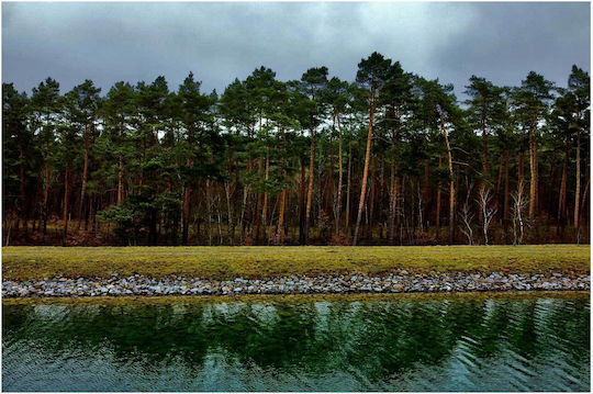 Панел Forest Reflections Дасически Отражения 170x115
