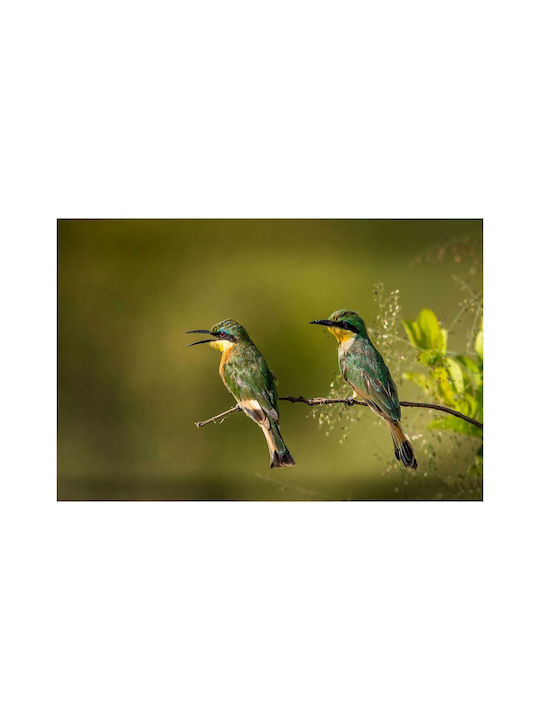 Панел Two Colorful Birds On A Branch Два Цветни Птици На Клон 150x100