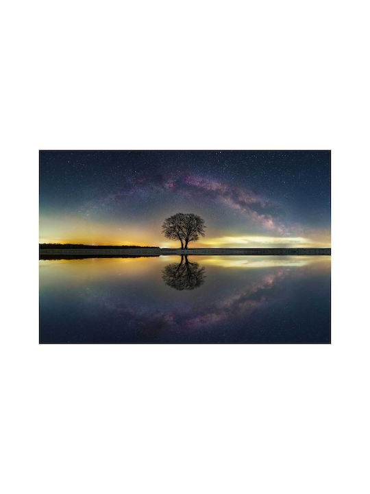 Πίνακας Tree Reflection Under Starry Sky Αντανάκλαση Δέντρου Κάτω Έναστρο Ουρανό 100x70