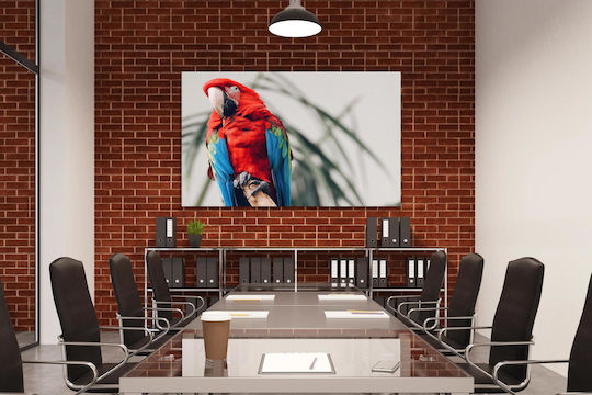 Панел Colorful Parrot On A Branch Многоцветен Папагал На Клон 100x70