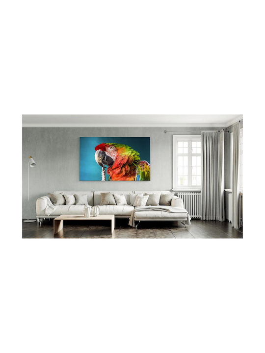 Panou Colorat Papagal Prim-Plan Multicolor 120x80