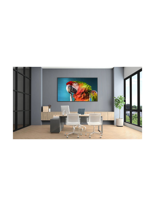 Panou Colorat Papagal Prim-Plan Multicolor 120x80