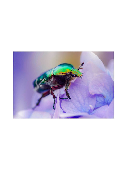 Панел Colorful Beetle On Flower Многоцветно Бръмбарче На Цвете 100x70