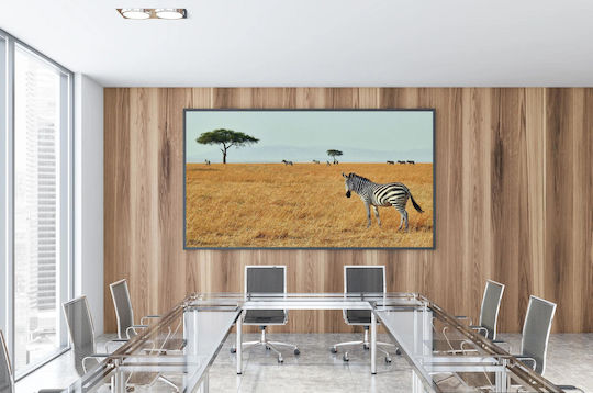 Painting Zebras In Savanna Zebras In Savanna 100x70