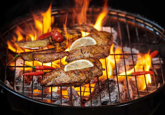 Master Grill & Party Holzkohlegrill 32.5cmx32.5cm