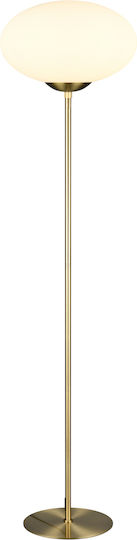 Trio Lighting Fomento Подова Лампа В150xД40см. с Цокъл за Крушка E27 Бронзов