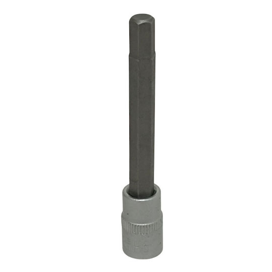 SKS Tools Long Walnut with Allen Head and Socket 1/4'' Size H6x70mm 1pcs
