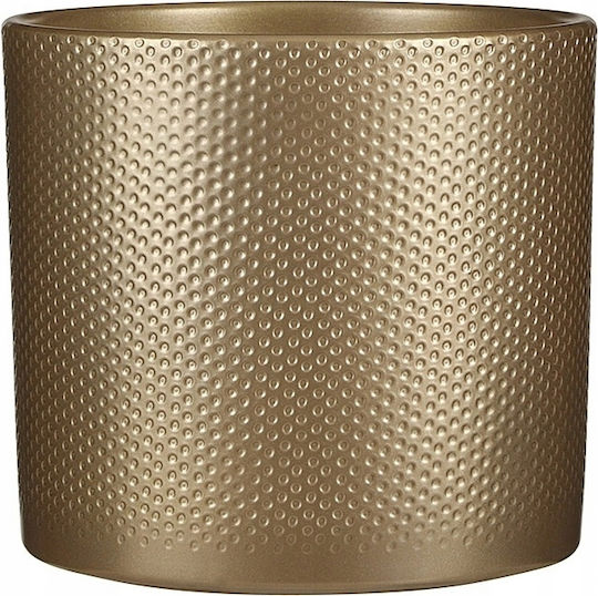 Mica Саксия Златист Mica Саксия Златист