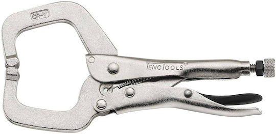 Teng Tools Zange Länge 250mm