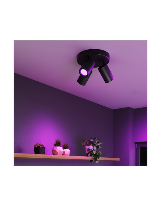 Calex Single Spot with Socket GU10 in Black Color