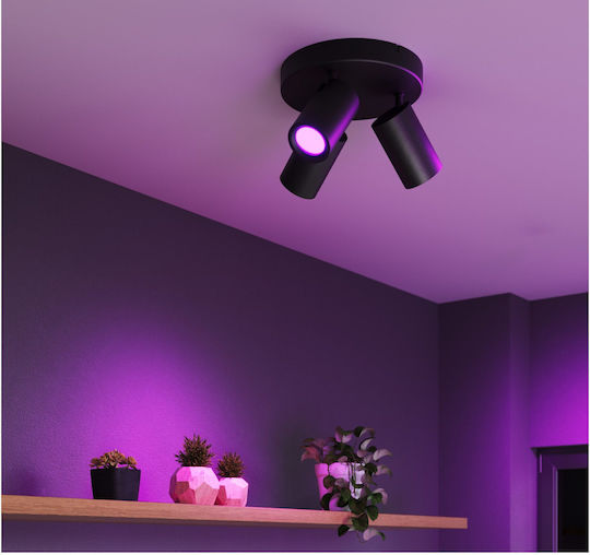 Calex Single Spot with Socket GU10 in Black Color