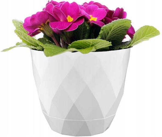 Galicja Blumentopf Kunststoff Galicja Blumentopf Kunststoff