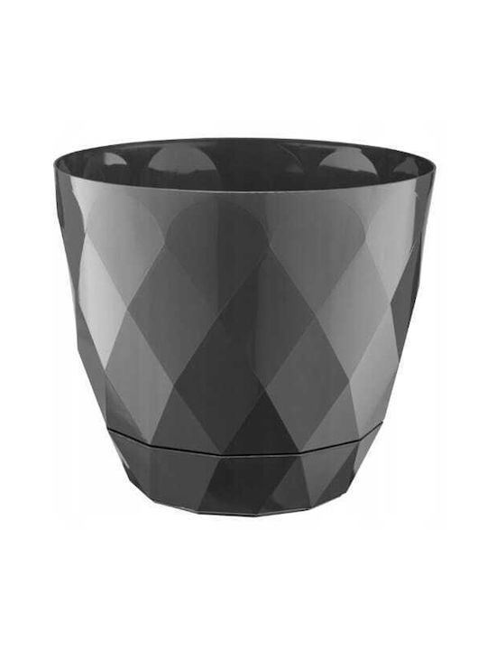 Galicja Γλάστρα Πλαστική Anthracite