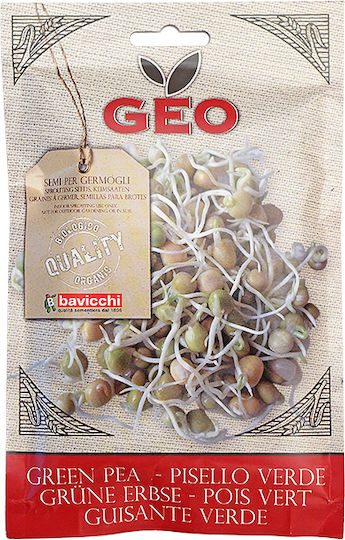 Geo Bavicchi Samen Erbse Bavicchi Biologischer Anbau 90gr