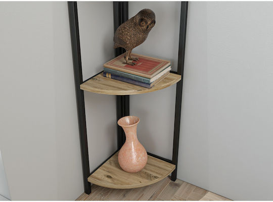 Ecke Bücherregal Mehrfarbig 160x29x160cm