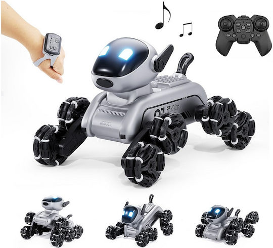 360° RC Robot
