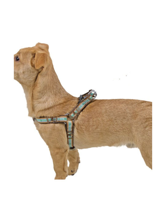 Kerbl Wild Life Collar Brown Turquoise 45-65cm/25mm