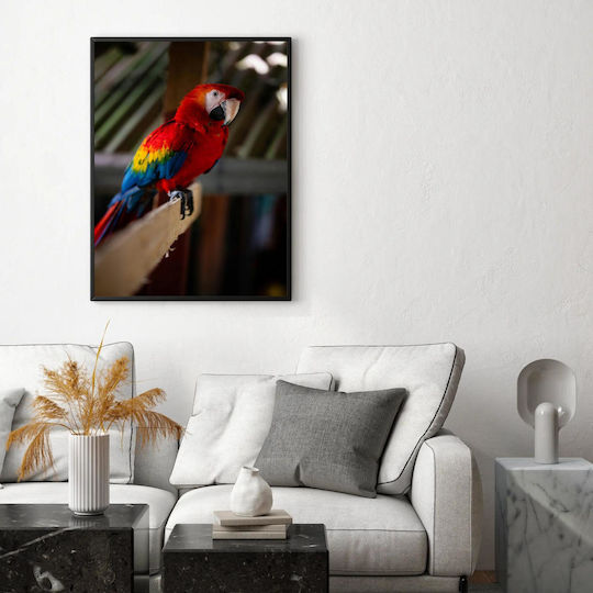 Πίνακας Colorful Parrot On A Perch Πολύχρωμος Παπαγάλος Μια Πέρκα 70x100