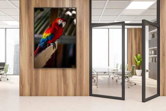 Πίνακας Colorful Parrot On A Perch Πολύχρωμος Παπαγάλος Μια Πέρκα 70x100