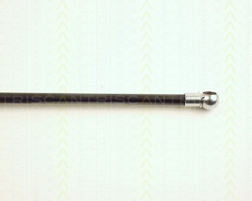 Triscan 8710 16215 Trunk Shock Absorber