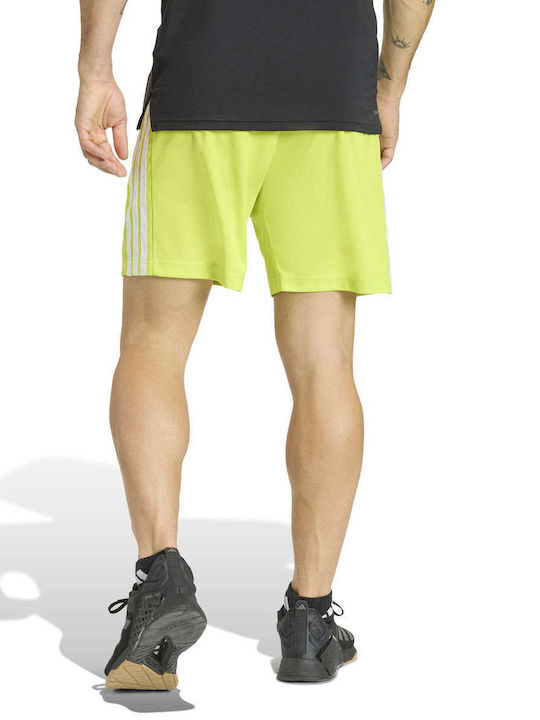 Sport Herren Shorts Gelbe