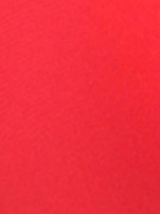 Bikinioberteil Rot