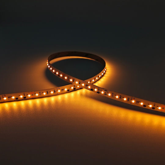 VK Lighting Smart LED Strip Wi-Fi 24V Adjustable White Light 5m