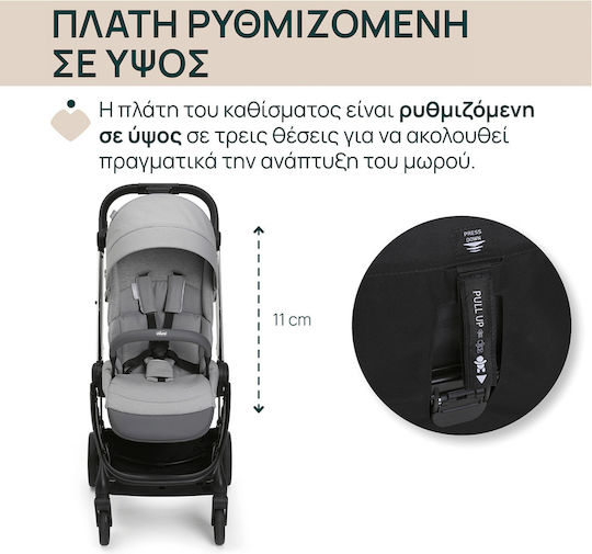 Chicco One4Ever Reversible Baby Stroller Suitable for Newborn Gray