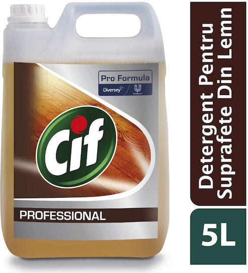 Alista Home Detergent Lichid Profesional pentru Podea cu Acțiune Dezinfectantă 25l